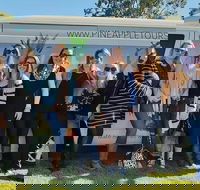 Full Day Mount Tamborine Winery Tour from Gold Coast - Hotels Melbourne