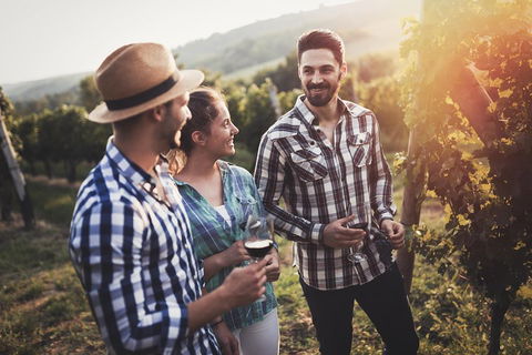 Full Day Mount Tamborine Winery Tour From Gold Coast - Hotels Melbourne 5