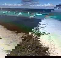 Experience Rottnest with Ferry  Bike Hire from Perth or Fremantle - Hotels Melbourne