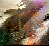 Full-Day Great Ocean Road and 12 Apostles Sunset Tour from Melbourne - Hotels Melbourne