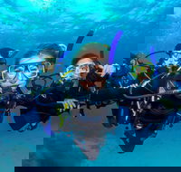 Great Barrier Reef Diving and Snorkeling Cruise from Cairns - Hotels Melbourne