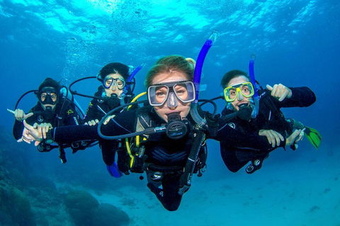 Great Barrier Reef Diving And Snorkeling Cruise From Cairns - Hotels Melbourne 0