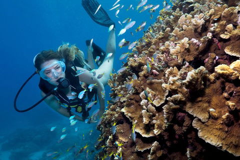 Great Barrier Reef Diving And Snorkeling Cruise From Cairns - Hotels Melbourne 1