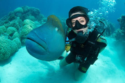 Great Barrier Reef Diving And Snorkeling Cruise From Cairns - Hotels Melbourne 2