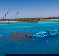 Ocean Free Green Island  Great Barrier Reef Snorkel Cruise Cairns 25 guests - Hotels Melbourne