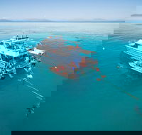 Ocean Freedom Great Barrier Reef Personal Luxury Snorkel  Dive Cruise Cairns - Hotels Melbourne