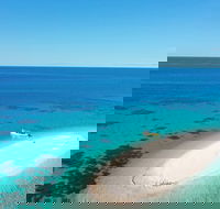 Ocean Safari Great Barrier Reef Experience in Cape Tribulation - Hotels Melbourne