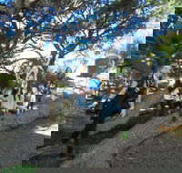 1/2 day Swan Valley Wine Cheese  Chocolate Tour Inc Afternoon Cruise to Perth - Hotels Melbourne