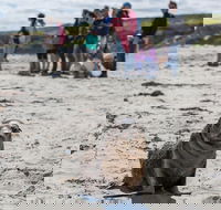 Kangaroo Island in a Day Tour from Adelaide - Hotels Melbourne