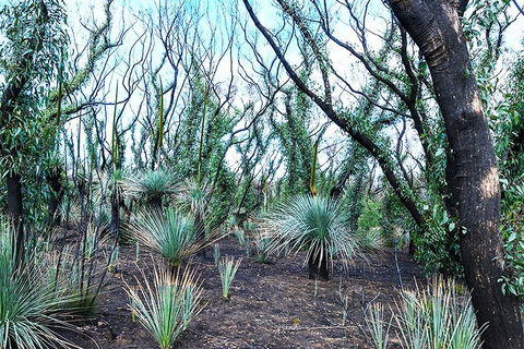 NEW TOUR - Kangaroo Island Road To Recovery Tour (1 Day/1 Night) - Hotels Melbourne 3