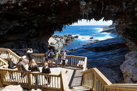 Full Day Flinders Chase Tour From Kangaroo Island - Hotels Melbourne 1