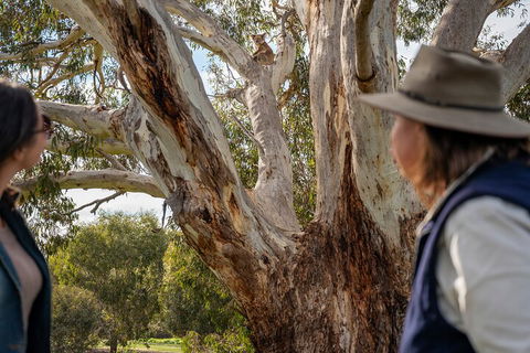 Full Day Flinders Chase Tour From Kangaroo Island - Hotels Melbourne 5