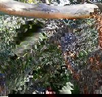 Small-Group Great Ocean Road Day Trip from Melbourne - Hotels Melbourne