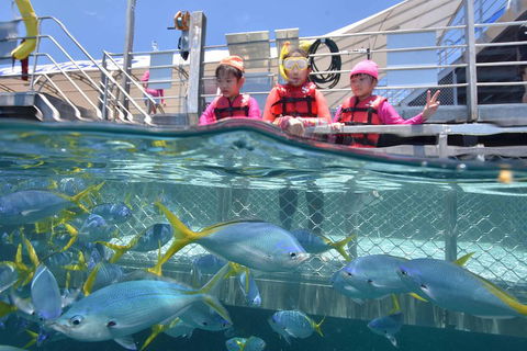 Outer Reef Pontoon Experience From Cairns - Hotels Melbourne 0