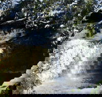 Cradle Mountain Day Tour from Launceston Including Lunch - Hotels Melbourne