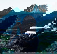Cradle Mountain Park Explorer Guided Tour - Hotels Melbourne