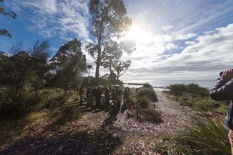 Bruny Island Day Tour, Includes Lunch And Exclusive Lighthouse Tour - Hotels Melbourne 5