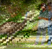 Great Ocean Road 2 Day Highlights Tour and sunset 12 Apostles - Hotels Melbourne