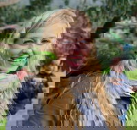 Great Ocean Road Reverse Itinerary with 12 Apostles from Melbourne - Hotels Melbourne