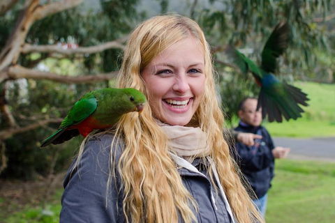 Great Ocean Road Reverse Itinerary With 12 Apostles From Melbourne - Hotels Melbourne 0