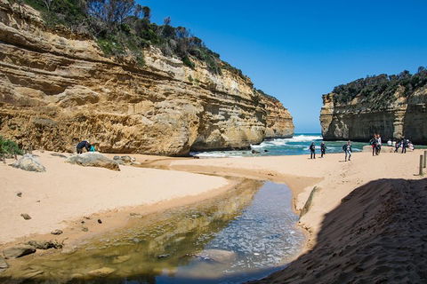 Great Ocean Road Reverse Itinerary With 12 Apostles From Melbourne - Hotels Melbourne 2