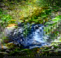 Day Tour in Mt. Field Mt. Wellington Bonorong Wildlife Sanctuary and Richmond - Hotels Melbourne