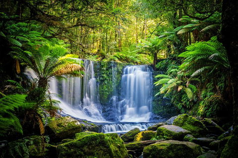 Day Tour In Mt. Field, Mt. Wellington, Bonorong Wildlife Sanctuary And Richmond - Hotels Melbourne 0