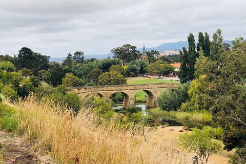 Day Tour In Mt. Field, Mt. Wellington, Bonorong Wildlife Sanctuary And Richmond - Hotels Melbourne 3