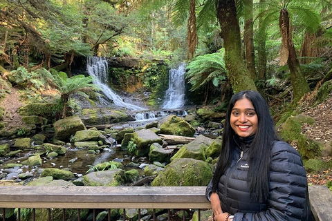 Day Tour In Mt. Field, Mt. Wellington, Bonorong Wildlife Sanctuary And Richmond - Hotels Melbourne 5