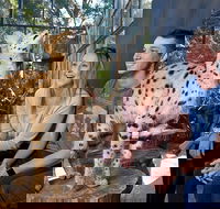 African Cat Encounter at Werribee Open Range Zoo - Hotels Melbourne