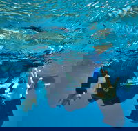 3 Day Whitsundays Sailing and Diving Adventure Kiana - Hotels Melbourne