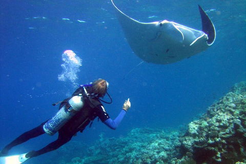 3 Day Whitsundays Sailing And Diving Adventure: Kiana - Hotels Melbourne 3