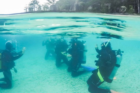 3 Day Whitsundays Sailing And Diving Adventure: Kiana - Hotels Melbourne 4