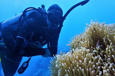 3 Day Whitsundays Sailing And Diving Adventure: Kiana - Hotels Melbourne 5