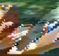 2-Day Melbourne to Adelaide Tour Great Ocean Road and Grampians One Way Trip - Hotels Melbourne