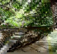 12 Apostles Eco-Friendly Great Ocean Road Iconic Adventure from Melbourne - Hotels Melbourne