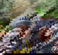 Small-Group Great Ocean Road and 12 Apostles Full-Day Tour from Melbourne - Hotels Melbourne