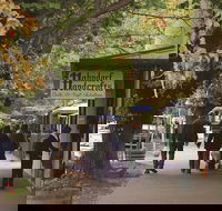 Adelaide Highlights Hahndorf  McLaren Vale Wine Tasting and Sightseeing Tour - Hotels Melbourne