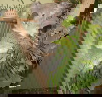 Blue Mountains Private Full-Day Tour from Sydney with Cruise - Hotels Melbourne