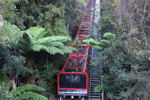 Blue Mountains Private Full-Day Tour From Sydney With Cruise - Hotels Melbourne 5