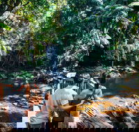 Aquaduck  Your choice of Gold Coast Rainforest Tour - Hotels Melbourne