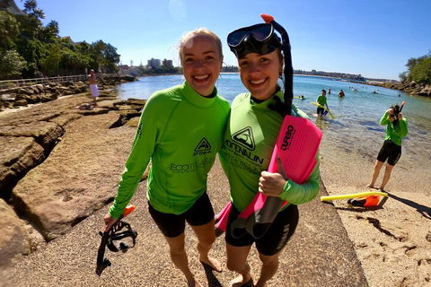 Manly Snorkel Trip And Nature Walk With Local Guide - Hotels Melbourne 1