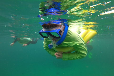 Manly Snorkel Trip And Nature Walk With Local Guide - Hotels Melbourne 5