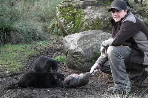 After Dark Tasmanian Devil Feeding Tour At Cradle Mountain - Hotels Melbourne 2