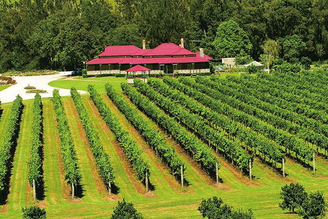 O'Reilly's & Lamington National Park From Gold Coast - Hotels Melbourne 2