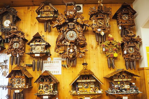 O'Reilly's & Lamington National Park From Gold Coast - Hotels Melbourne 5