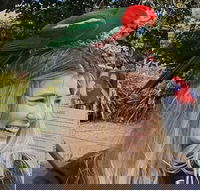 Lamington National Park O'Reilly's  Vineyard Tour - Hotels Melbourne