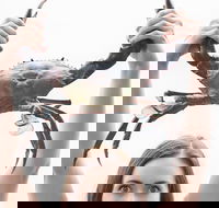 The Ultimate Gold Coast Attractions Pass - Hotels Melbourne