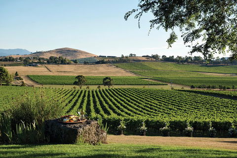 Small Group 6 Guests: Ultimate Yarra Valley Food And Wine - Mercedes Van - Hotels Melbourne 4