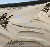 Port Stephens Bush Beach and Sand Dune 4WD Tag-Along Tour - Hotels Melbourne